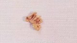 立春后，这粥宝妈要多喝，养脾益胃，美容养颜，提高免疫力