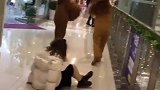 两个调皮熊扔小姐姐玩，小姐姐表示很无奈