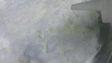 蒸熟后是什么颜色呢？