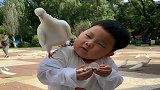 带儿子去广场喂鸽子，不料一只鸽子飞到他肩上，儿子的反应太逗了