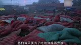 现在的你有多幸福摄像机镜头下的“贫民窟”你能想象到吗