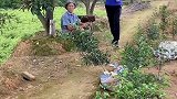 看到最后笑掉大牙