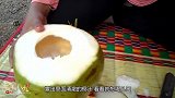 靓女在椰壳中放3个“鸡蛋”，做法独特不敢尝，出锅直吧唧嘴！