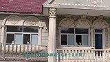 不好意思，非橘猫禁止入内