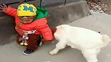 熊孩子和羊一起玩耍，不料接下来一幕，熊孩子真是猝不及防