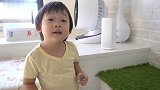 11月大宝宝挑战下楼梯，有点怕怕呢，小娃会如何应对呢