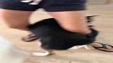 二哥，我真不想参与你的游戏！