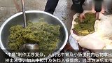 贵州农村牛瘪火锅制作过程，看完你敢吃吗