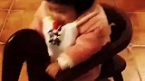 萌娃的迷惑行为