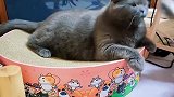 换季该给孩子脱坎肩了