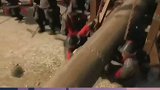 讲哥们义气的老板容易吃大亏