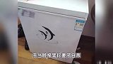 男子沉迷炒股欠债后杀害妻子后欲藏尸冰柜，一审被判死刑