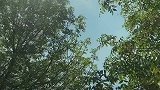 你啥时候来啊，别让我等太久了