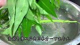 做个家里桌上不能少的空心菜！