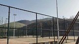 围栏里遛狗，给拉布拉多自由都不要，非要叼着绳子才去玩