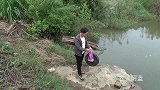 上游鱼塘崩塌跑鱼，小伙在下游开杆钓鱼，全部是大货上钩爽极了