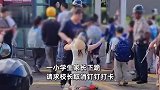 网传浙江一小学生家长下跪，请求校长取消钉钉打卡，教育局回应