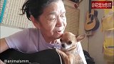 奶奶弹着吉他，狗狗趴在她的肩上静静地聆听，这就是岁月静好吧！