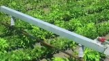 全球除草高手云集，除草界内卷严重