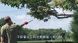 老外将20斤熔铝倒进蜂巢，瞬间嗞嗞作响，整个世界都安静了！