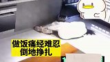 女子在家做饭突发痛经，疼痛难忍倒地挣扎近20分钟