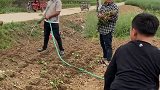 婆婆太护短了