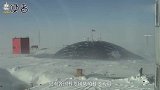 人在南极待一年会染上怪病？科学家：因太无聊导致大脑萎缩