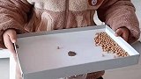 不嫌人了，在家可以玩一下午！