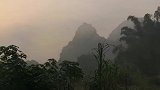 草色烟光残照里无言谁会凭阑意