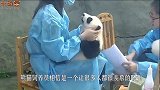 熊猫宝宝受了委屈，哭唧唧地找奶爸求安慰，下秒大家忍住别笑