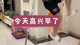 今天本来是要硬气一次的，结果高兴早了，失误失误了