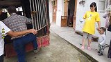 养母猪的今年发财了，大叔爆出惊人收入，小白直呼比包工头还赚钱