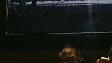 慢煮光阴一盏茶，静看人生四季花。