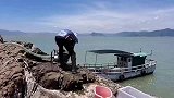 水坑看是不小，抽干后却让小明哭笑不得