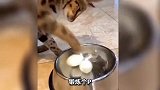 马都开始梳中分了，这气质杠杠的