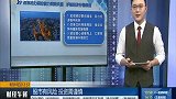 改革动力调控能力同频共振，护航经济行稳致远