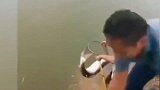 鱼装死我最在行了，煮熟的鸭子飞了啊