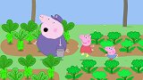 经过猪爷的教导，佩奇知道蔬菜地是不能种水果的，深受启发