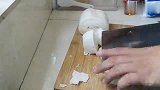 高端的饭菜组合——番茄土豆炒馒头！