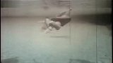 户外猎奇-20111104-实拍父子与巨蟒水底搏斗惊险一幕