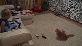小男孩调戏家里的老猫，结果惹怒喵星人，分分钟一顿暴打教做人