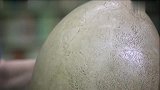 世界上最大的蛋价值51万元相当于100个鸡蛋的大小