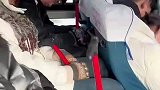 爬完泰山后，全车人都累到沉睡，车内鸦雀无声