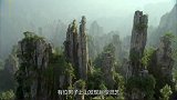 男子上山发现巨型灵芝，正当采摘之时，走近后吓得掉头就跑