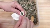 慢动作月牙饺子手法视频