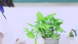 老师递给我腐烂的苹果，脸上焦虑的神情，是想让我帮助她吗？