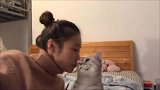 萌宠：猫咪：要不是看在那条小鱼干的份上，我才不理你