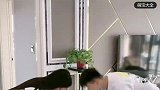 龙凤胎兄妹天天在家斗智斗勇，哥哥：真是防不胜防