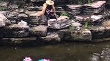 姜太公钓鱼愿者上钩