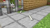 我的世界MC动画：善良的小僵尸，值得我们学习！